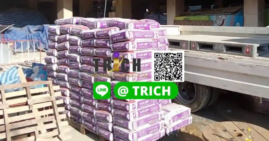 1ปูนลูกดิ่งจิงโจ้